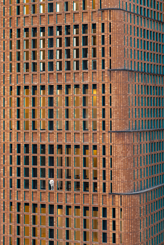 معماری ساختمان اداری-تجاری هیترا