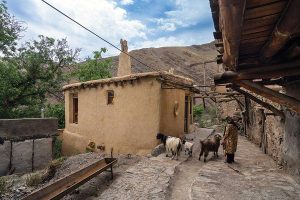بازسازی پروژه حولی تقی خوری‌ ھا
