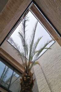 معماری خانه دانیالی