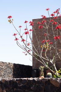 طراحی نمای آجری مدرن ویلا