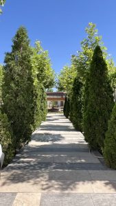 معماری ویلا حیاط