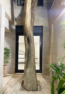 طراحی و اجرا ساختمان اداری