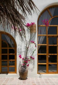 طراحی خانه هاله