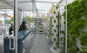 طراحی داخلی کافه زست