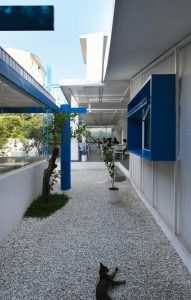 طراحی داخلی کافه زست