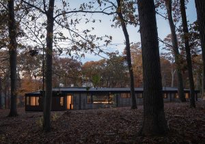 نمای چوب در طراحی ویلا