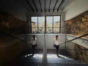 معماری ویلا صخره ای