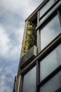 معماری آپارتمان دولافت