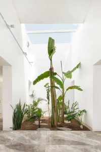 معماری خانه محمد قنواتی