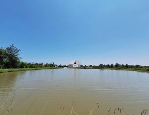 معماری ویلا تلار