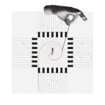 طراحی گالری بی دیوار