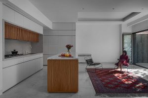معماری خانه درخت