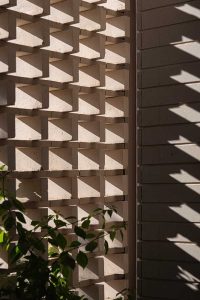معماری خانه درخت