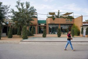 بازسازی گلخانه کاج