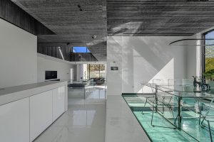معماری ویلا همنشین