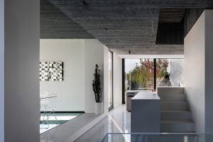 معماری ویلا همنشین
